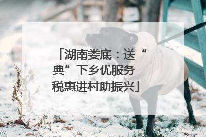 湖南娄底：送“典”下乡优服务 税惠进村助振兴