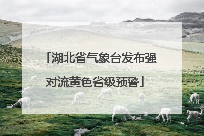 湖北省气象台发布强对流黄色省级预警