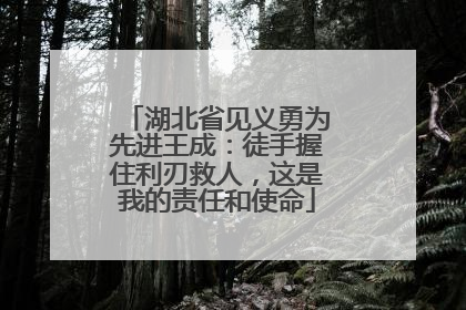 湖北省见义勇为先进王成：徒手握住利刃救人，这是我的责任和使命