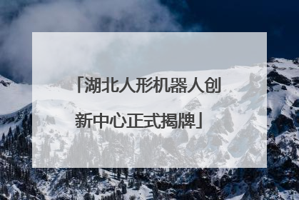 湖北人形机器人创新中心正式揭牌