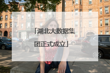 湖北大数据集团正式成立