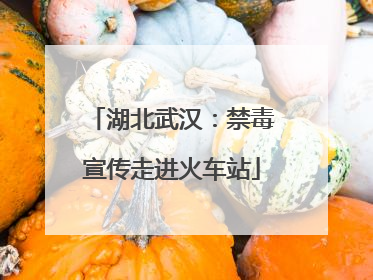 湖北武汉：禁毒宣传走进火车站
