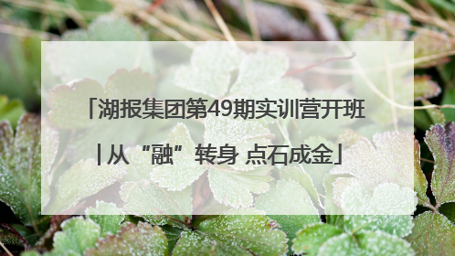 湖报集团第49期实训营开班│从“融”转身 点石成金