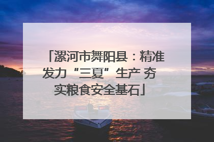 漯河市舞阳县：精准发力“三夏”生产 夯实粮食安全基石