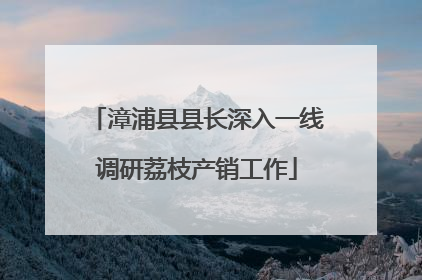 漳浦县县长深入一线调研荔枝产销工作