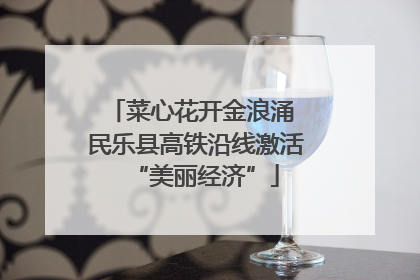 菜心花开金浪涌 民乐县高铁沿线激活“美丽经济”