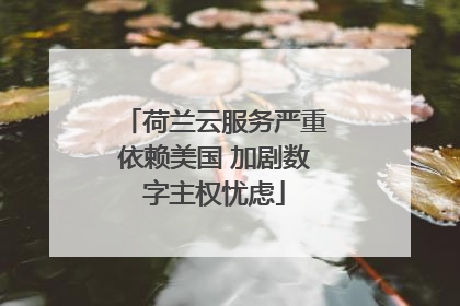 荷兰云服务严重依赖美国 加剧数字主权忧虑