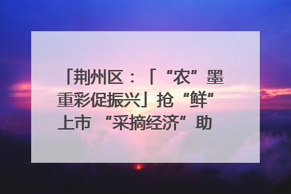 荆州区：「“农”墨重彩促振兴」抢“鲜”上市 “采摘经济”助农“甜蜜增收”