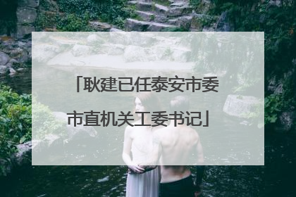 耿建已任泰安市委市直机关工委书记