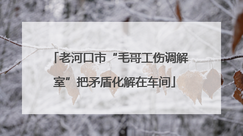 老河口市“毛哥工伤调解室”把矛盾化解在车间