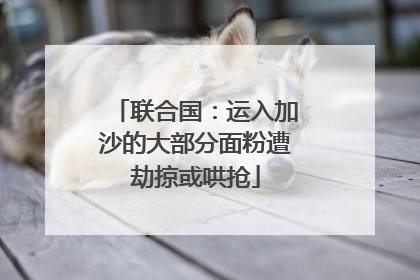 联合国：运入加沙的大部分面粉遭劫掠或哄抢