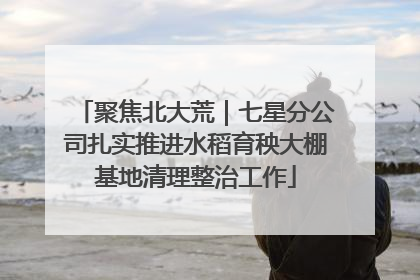 聚焦北大荒｜七星分公司扎实推进水稻育秧大棚基地清理整治工作