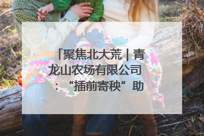 聚焦北大荒｜青龙山农场有限公司：“插前寄秧”助力农业节本增效