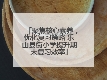 聚焦核心素养，优化复习策略 乐山县街小学提升期末复习效率