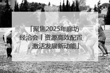 聚焦2025年廊坊经洽会丨资源高效配置，激活发展新动能
