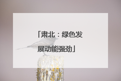 肃北：绿色发展动能强劲