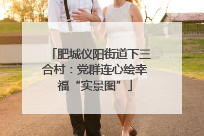 肥城仪阳街道下三合村：党群连心绘幸福“实景图”