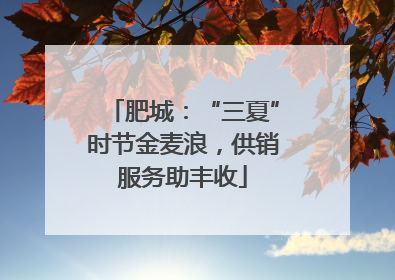 肥城：“三夏”时节金麦浪，供销服务助丰收