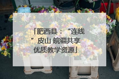 肥西县：“连线”皮山 皖疆共享优质教学资源