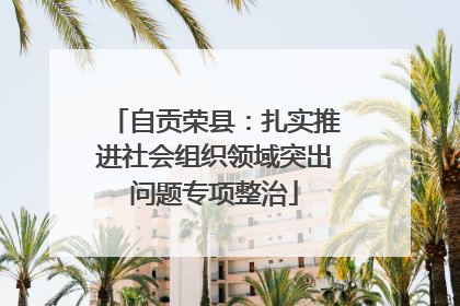 自贡荣县：扎实推进社会组织领域突出问题专项整治
