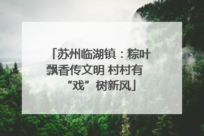 苏州临湖镇：粽叶飘香传文明 村村有“戏”树新风