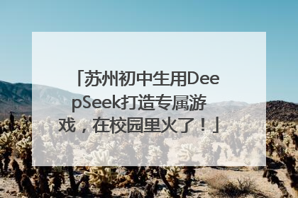 苏州初中生用DeepSeek打造专属游戏，在校园里火了！