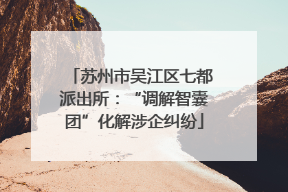 苏州市吴江区七都派出所：“调解智囊团”化解涉企纠纷