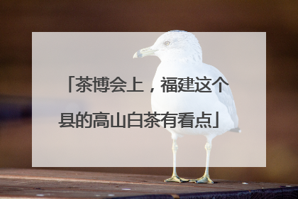 茶博会上，福建这个县的高山白茶有看点