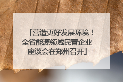 营造更好发展环境！全省能源领域民营企业座谈会在郑州召开