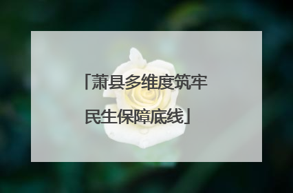 萧县多维度筑牢民生保障底线