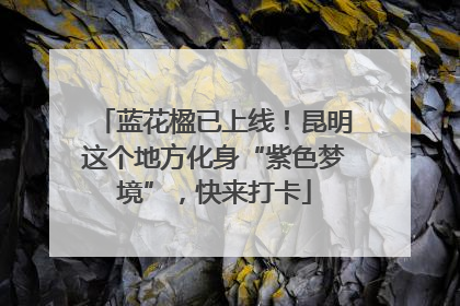 蓝花楹已上线！昆明这个地方化身“紫色梦境”，快来打卡