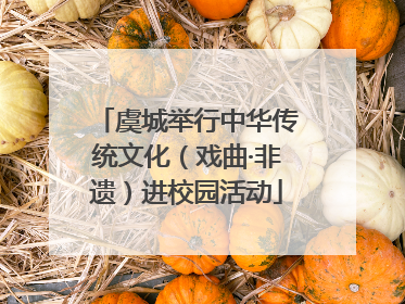 虞城举行中华传统文化（戏曲·非遗）进校园活动