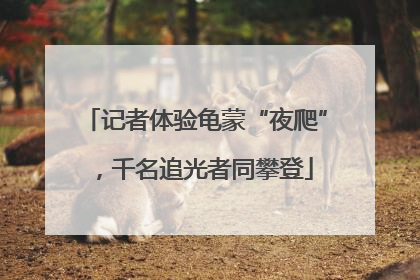 记者体验龟蒙“夜爬”，千名追光者同攀登
