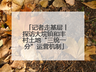 记者走基层丨探访大垸镇和丰村土地“三统一分”运营机制