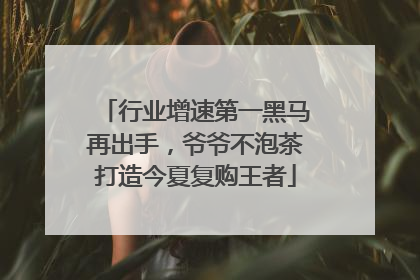 行业增速第一黑马再出手，爷爷不泡茶打造今夏复购王者