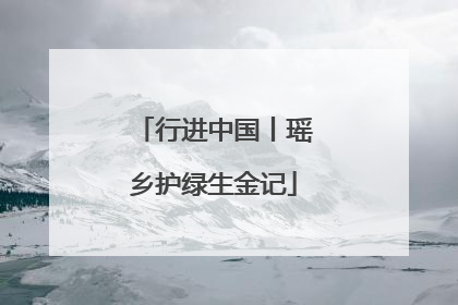 行进中国丨瑶乡护绿生金记