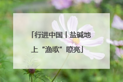 行进中国丨盐碱地上“渔歌”嘹亮