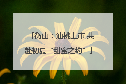 衡山：油桃上市 共赴初夏“甜蜜之约”