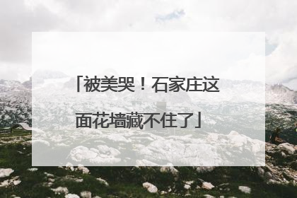 被美哭！石家庄这面花墙藏不住了