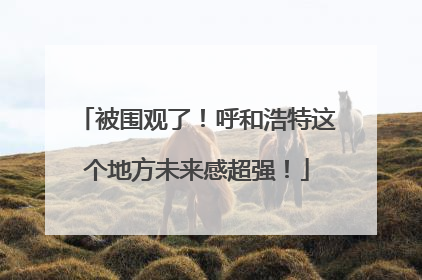 被围观了！呼和浩特这个地方未来感超强！