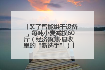 装了智能烘干设备，每吨小麦减损60斤（经济聚焦·夏收里的“新选手”）