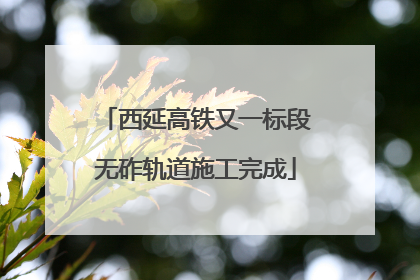 西延高铁又一标段无砟轨道施工完成