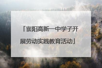 襄阳高新一中学子开展劳动实践教育活动