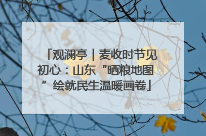 观澜亭｜麦收时节见初心：山东“晒粮地图”绘就民生温暖画卷