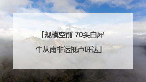 规模空前 70头白犀牛从南非运抵卢旺达