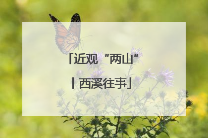 近观“两山”丨西溪往事
