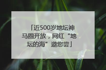 近500岁地坛神马圈开放，网红“地坛的海”邀您尝