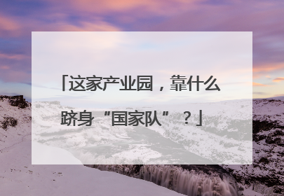这家产业园，靠什么跻身“国家队”？