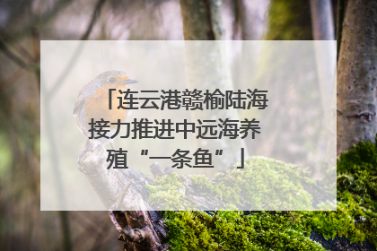 连云港赣榆陆海接力推进中远海养殖“一条鱼”