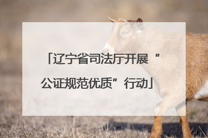 辽宁省司法厅开展“公证规范优质”行动
